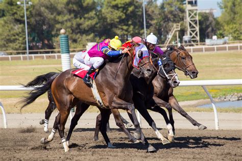 cal expo horse racing results|Racing Info – Cal Expo .
